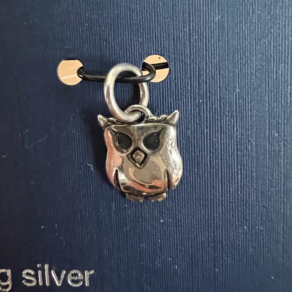 NWT BELK SILVERWORKS OWL Southern Charm
